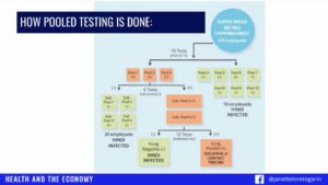 How Pooled Testing Is Done
