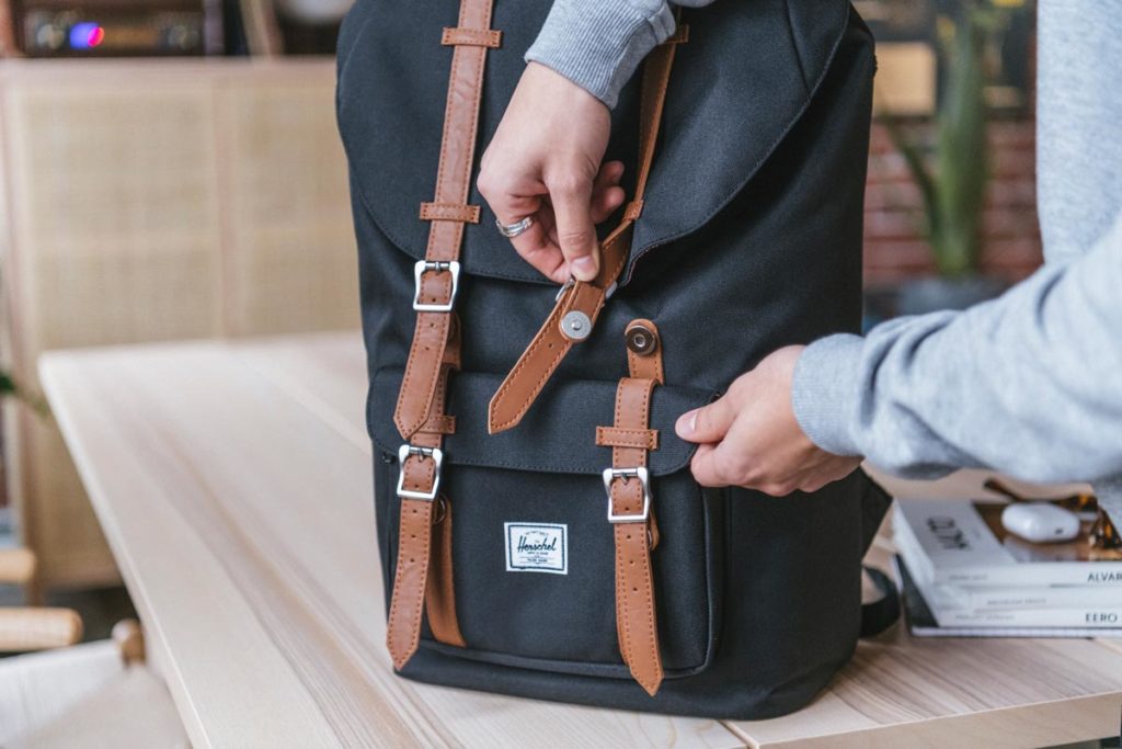 Herschel Little America Detail