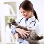 Responsible Pet Owner - Vet with Cat
