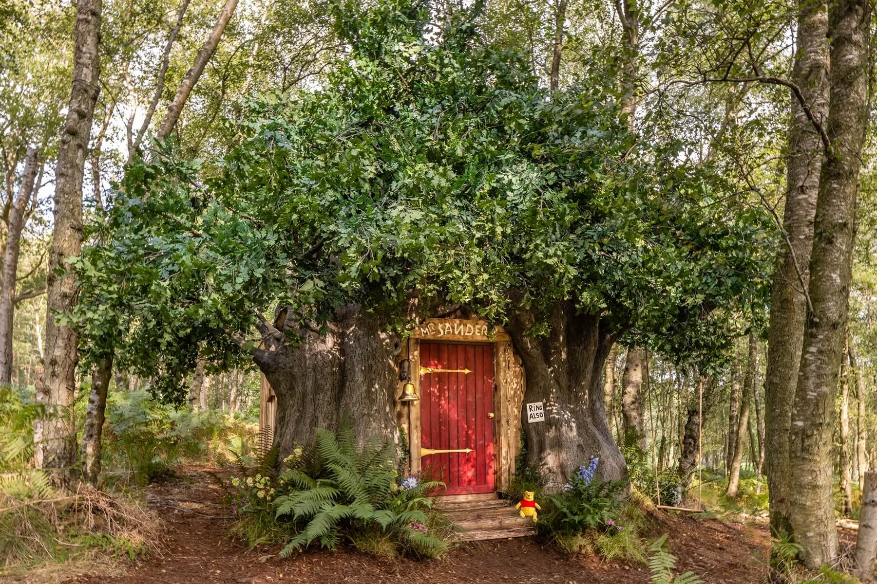 Spend a night in the original Hundred Acre Wood as part of Winnie the Pooh’s 95th Anniversary Celebrations