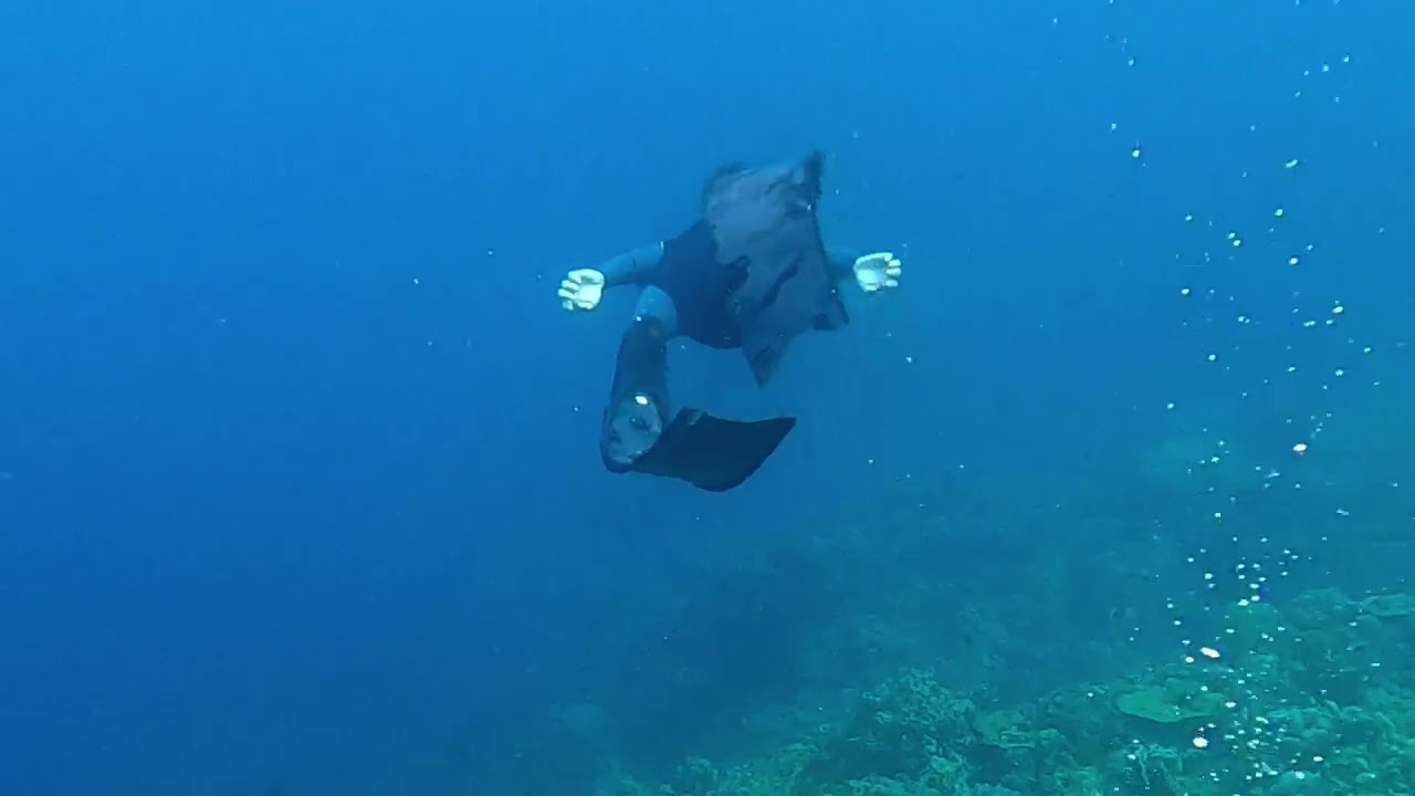 Scuba Diving at Summer Cruise Diving Resort in San Luis, Batangas.
