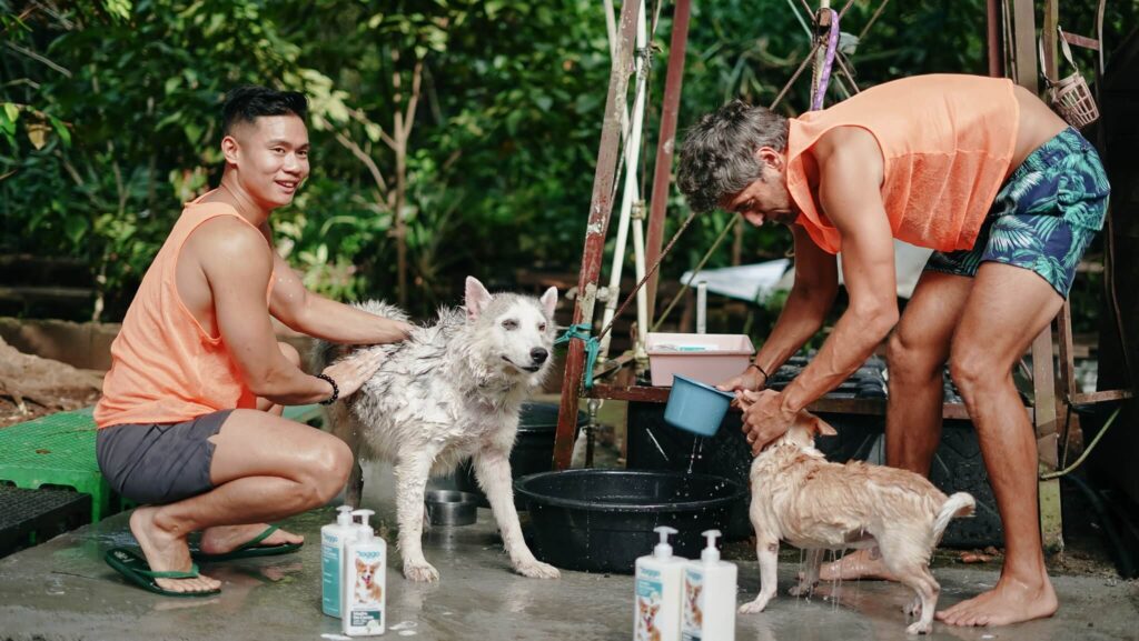 Doggo CEO Kurt Cheng and Doggo ambassador Nico Bolzico give Keisha and Charlie a bath using Doggo Madre De Cacao Organic Shampoo and Organic Conditioner.