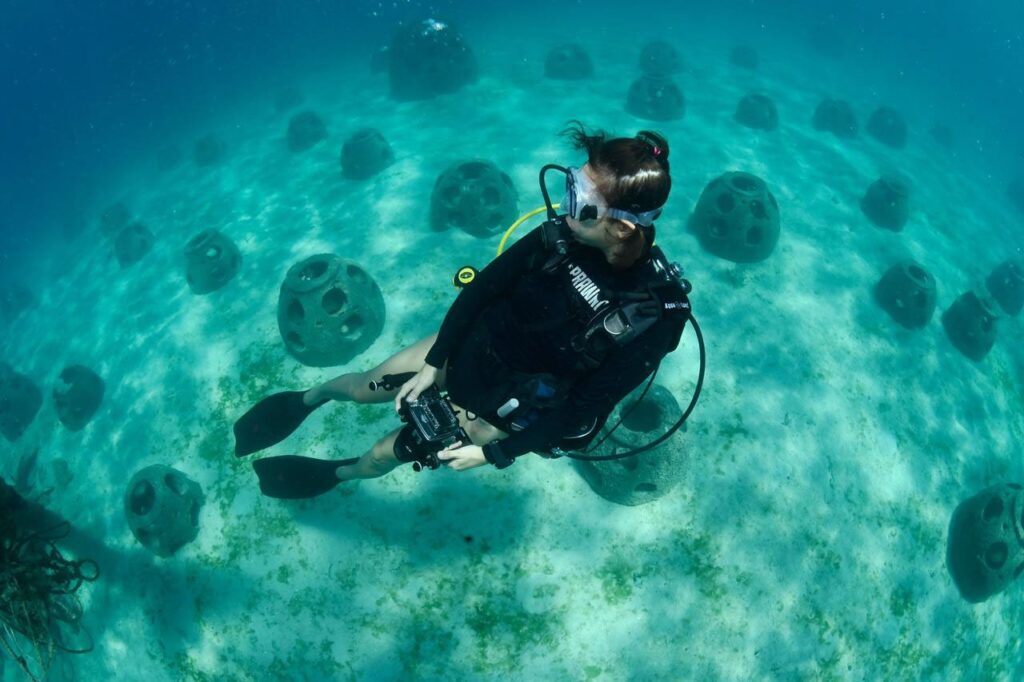 Banwa Private Island - Diver Amongst Reef Balls