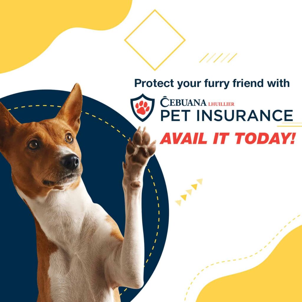 Cebuana Lhuillier Pet Insurance - Apply Now