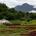 Bukid Amara 02