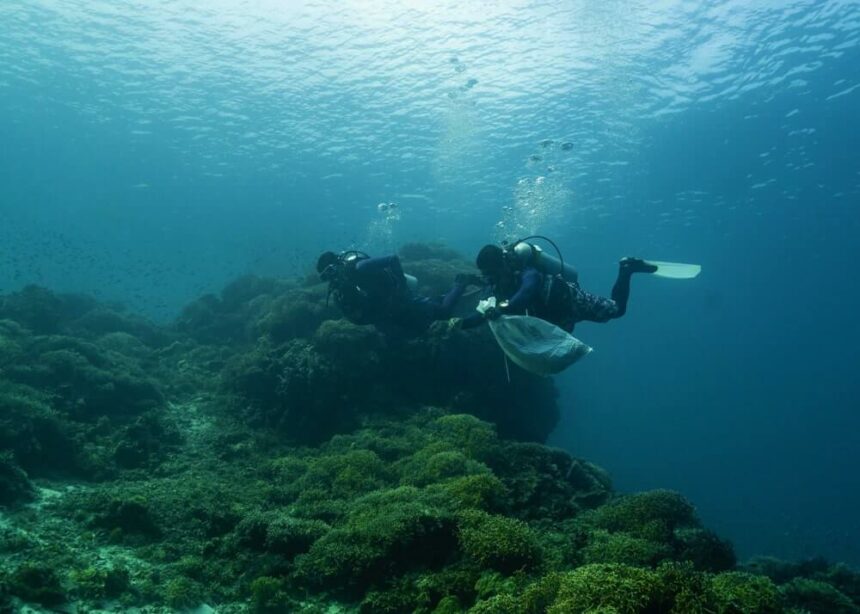 Bellevue Resort leads International Coastal Cleanup Underwater cleanup 02