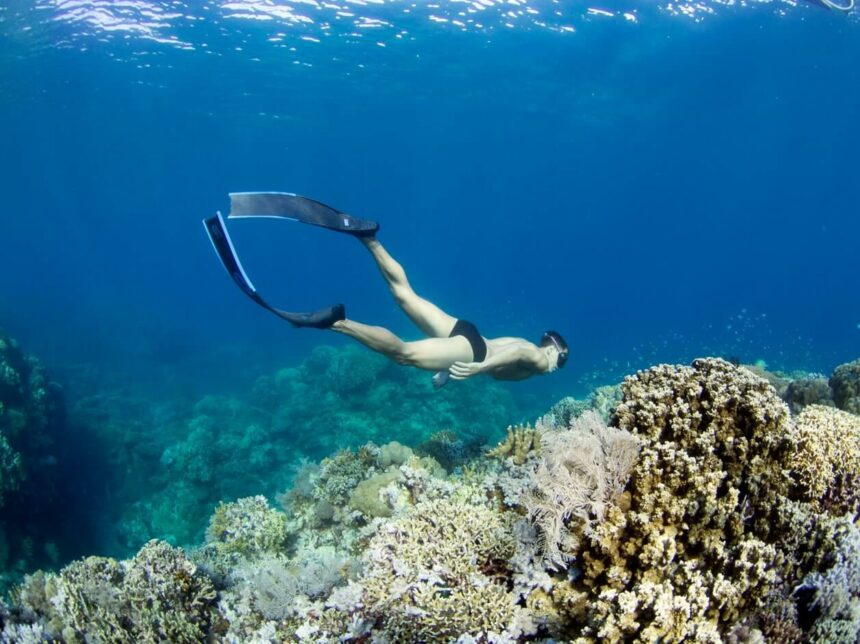 Freediving