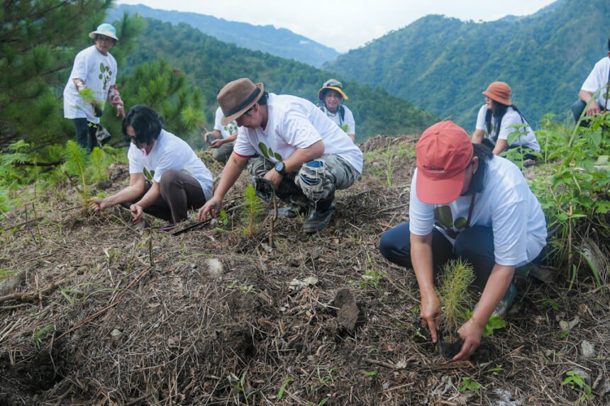 Tuba Benguet GTC 452