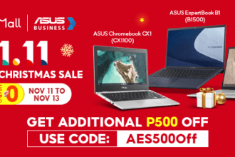 ASUS Expert Series 700 x 300