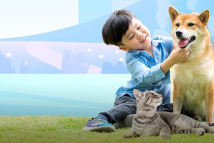 BDO Insure offers protection for pet dogs and cats