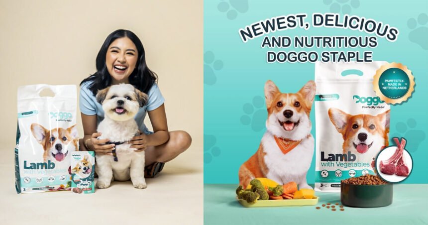 Barking news Doggo unveils new dry dog food line and Rei Germar