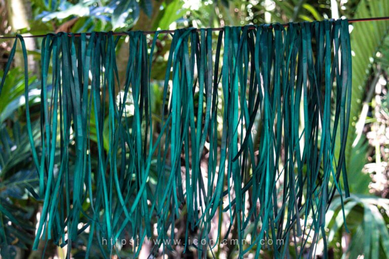 Exploring the Indigenous Weaving Art of Salinta Monon and Trinidad ...