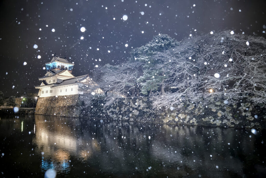 Toyama Castle