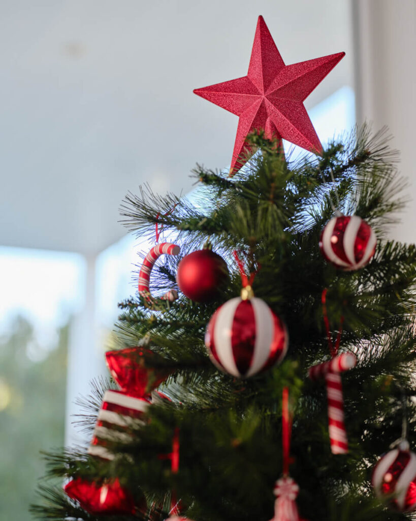 Anko Unveils Christmas 2025 Collection