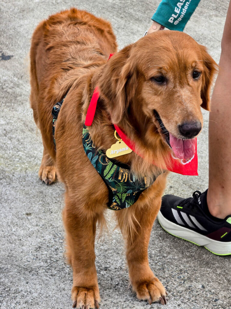 Run Fur Life