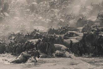 Southeast Asia’s Panoramic Vision Captivates at the 2025 Epson International Pano Awards