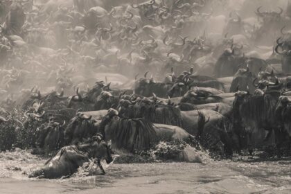 Southeast Asia’s Panoramic Vision Captivates at the 2025 Epson International Pano Awards