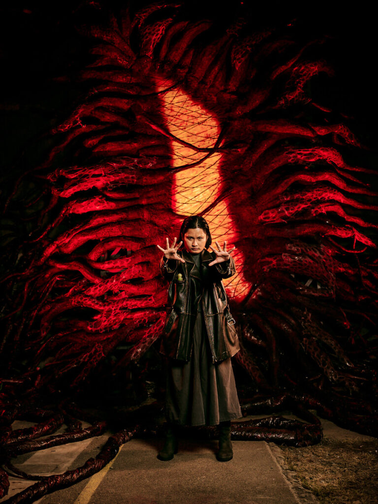 The Mothergate – Pepco Parking