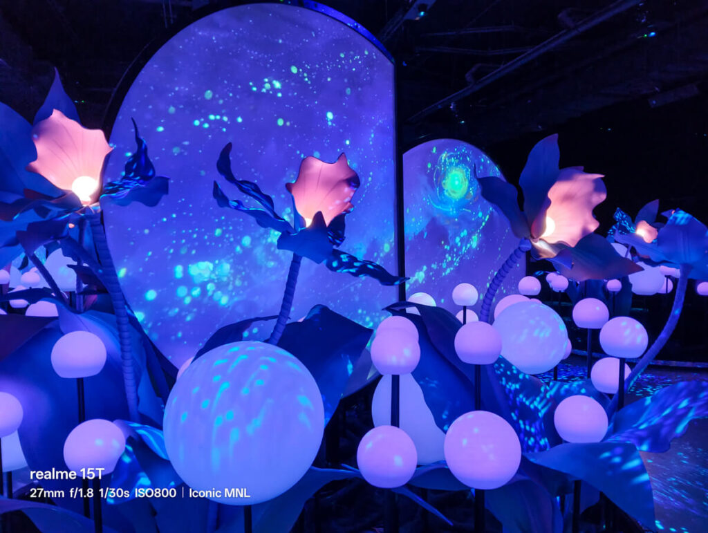 realme 15T 5G - Sample Image Digital National Art Museum