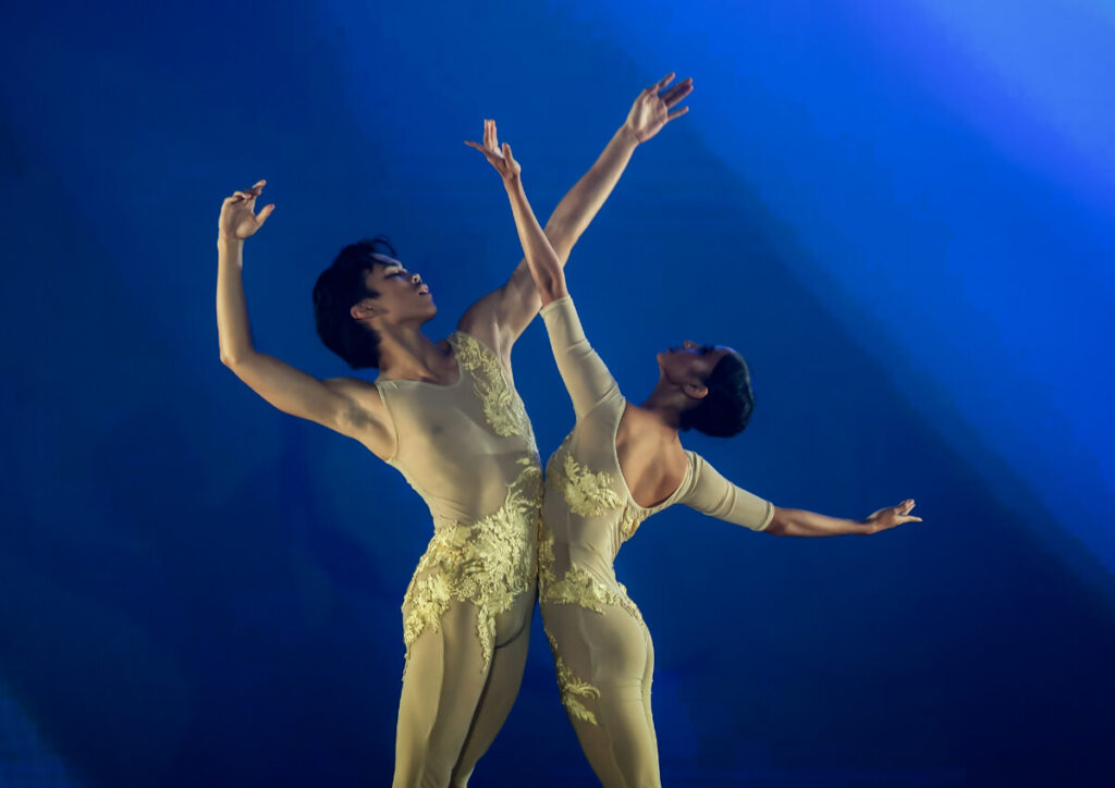 Radisson Blu Hotel Cebu Tree Lighting