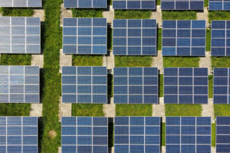 Sustainability in Focus