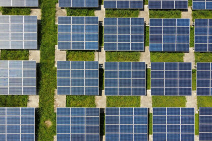 Sustainability in Focus