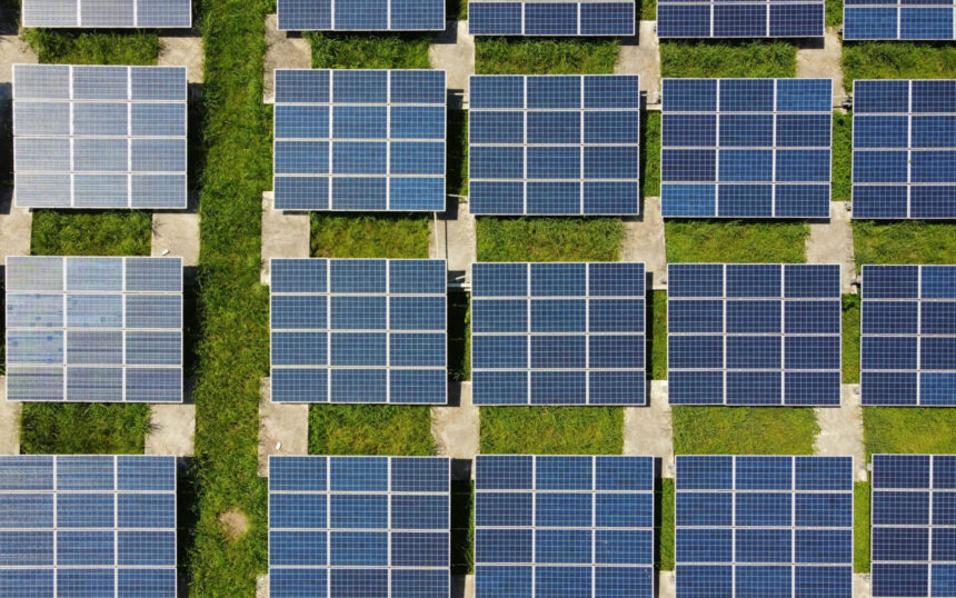 Sustainability in Focus