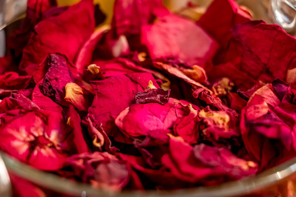 Denny Philippines All Day Cocktails and Mocktails - rose petals