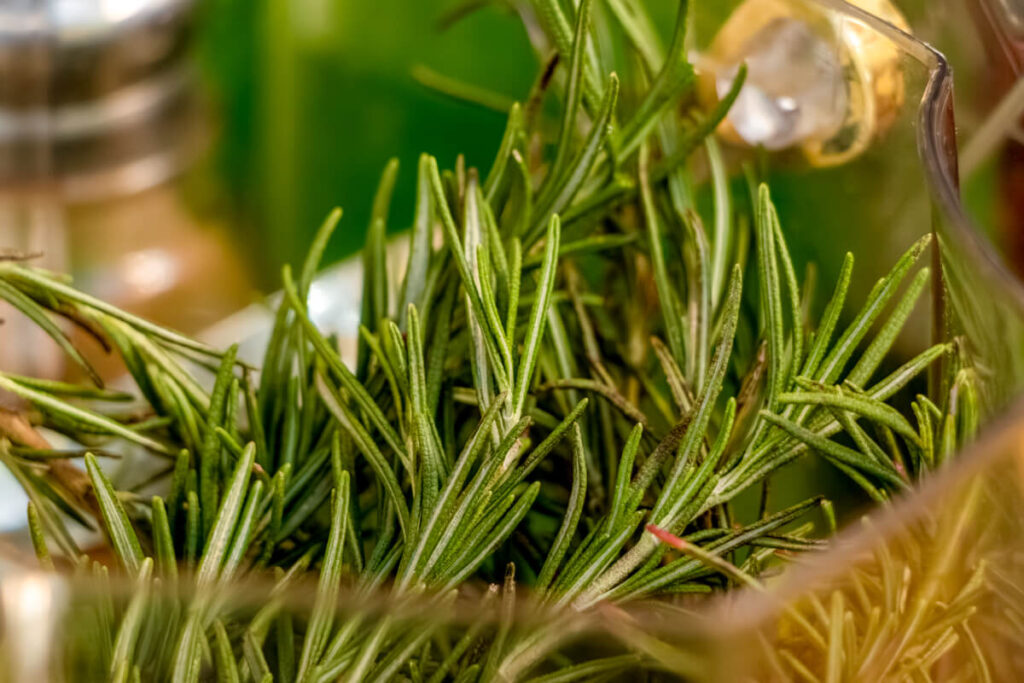 Denny Philippines All Day Cocktails and Mocktails - rosemary