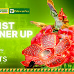 Palawan Group of Companies Strengthens Visayas Presence as Sponsor of Dinagyang Festival 2026