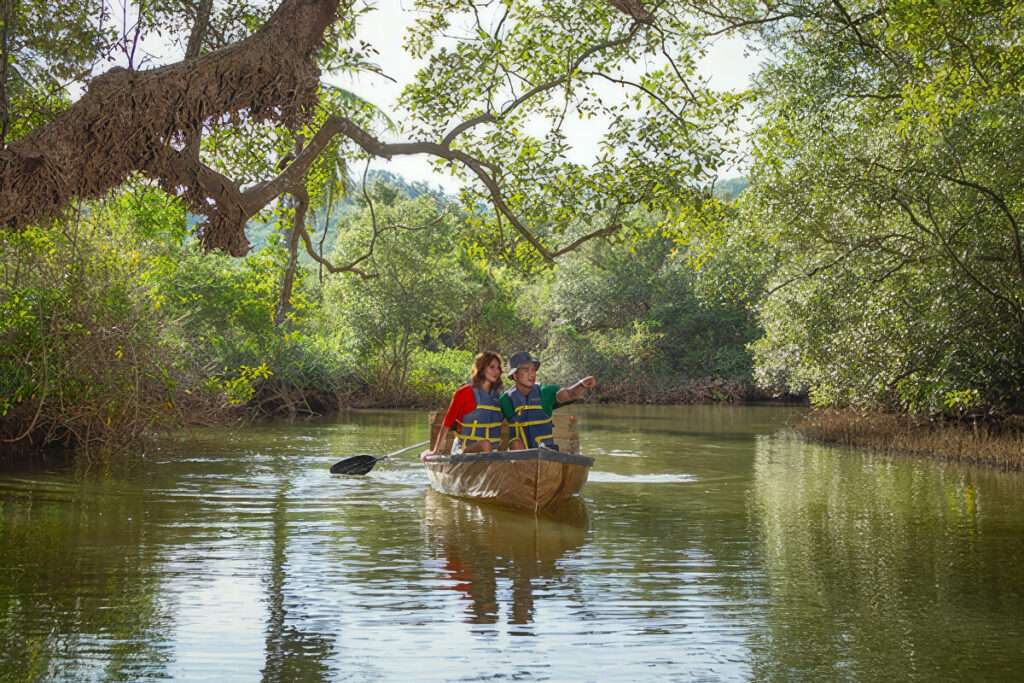 Pico de Loro Cove - Eco-Mangrove Tour