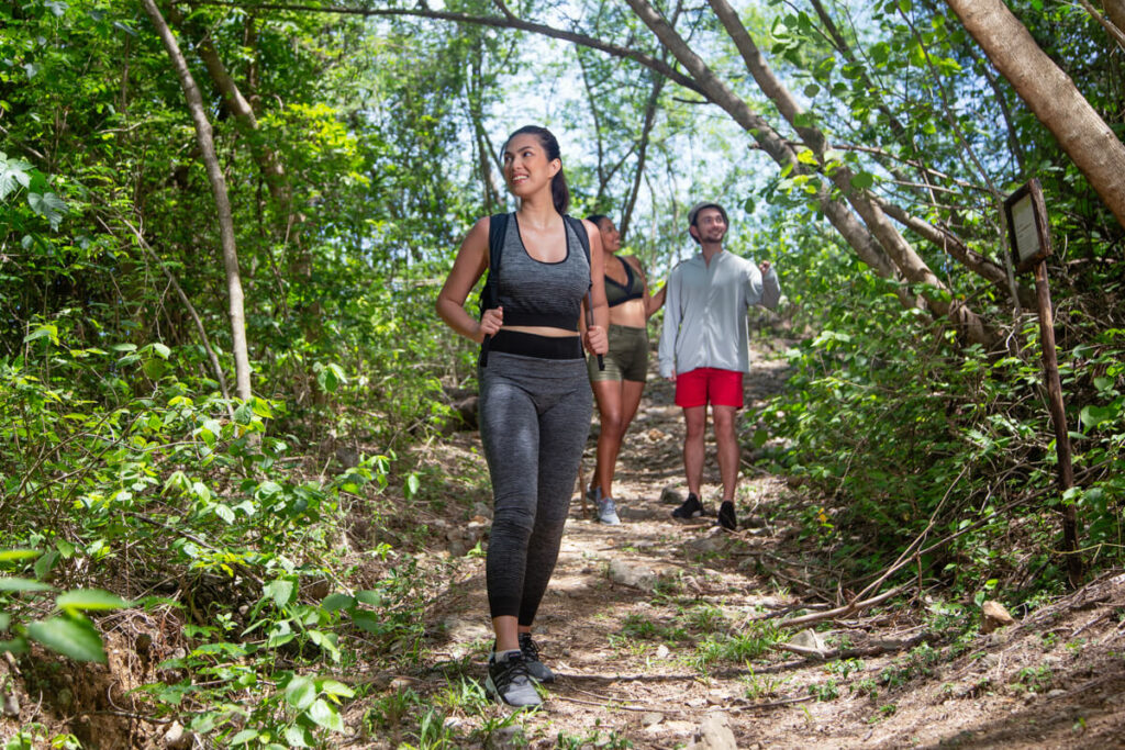 Pico de Loro Cove - Pico Trail