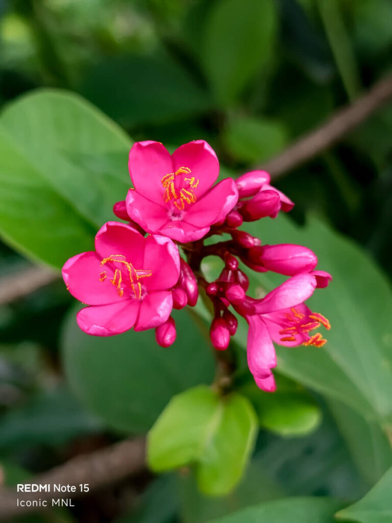 REDMI Note 15 - Sample Images