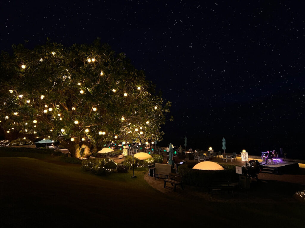 Celebrate Valentines at Taal Vista Hotel with Romantic Dining Experiences