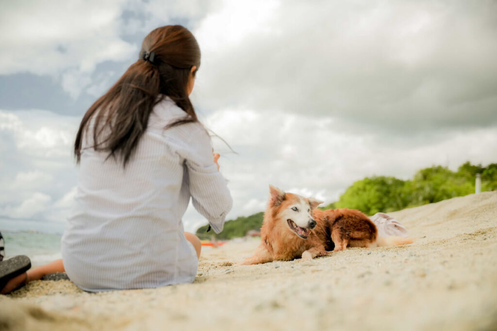 Sabangan Beach Resort in Laiya
