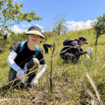 Epson Philippines Supports Forest Restoration Through Tree Nurturing at Masungi Georeserve