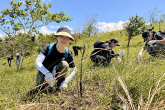 Epson Philippines Supports Forest Restoration Through Tree Nurturing at Masungi Georeserve