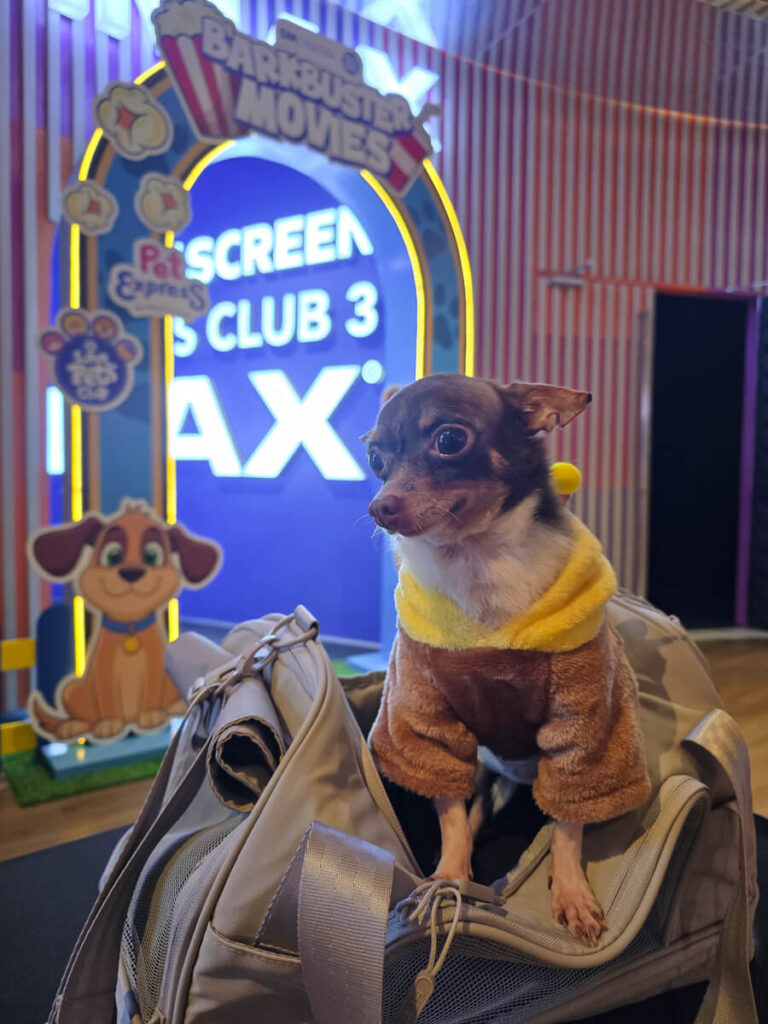 Hoppers Movie Review