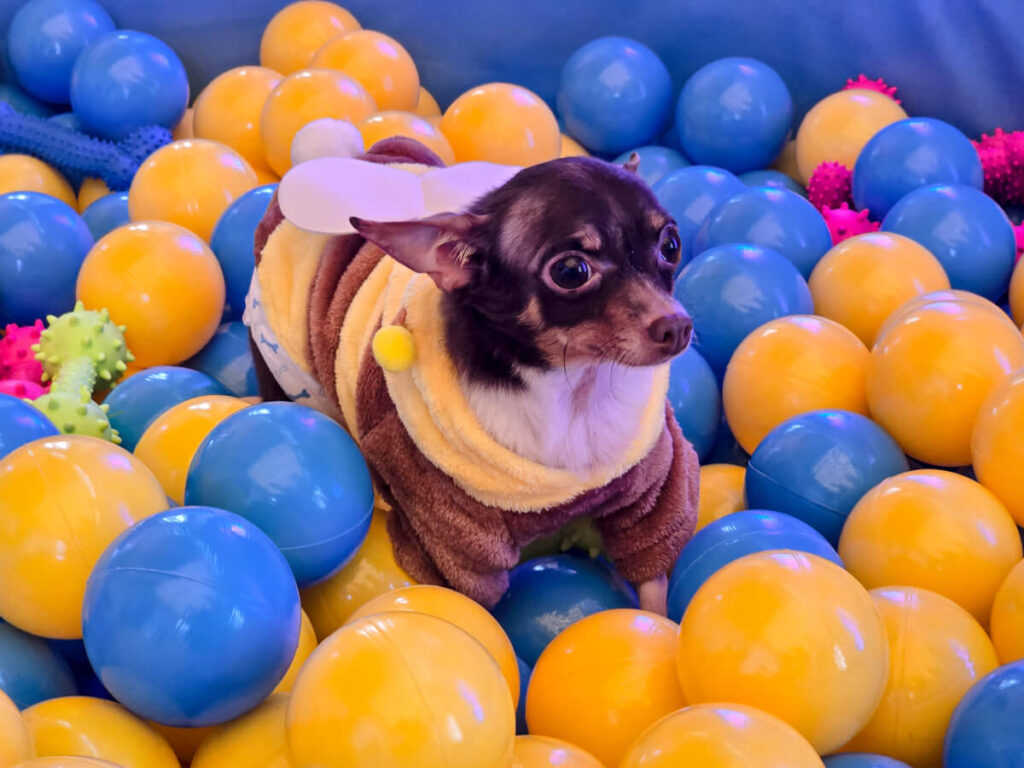 Hoppers Movie Review