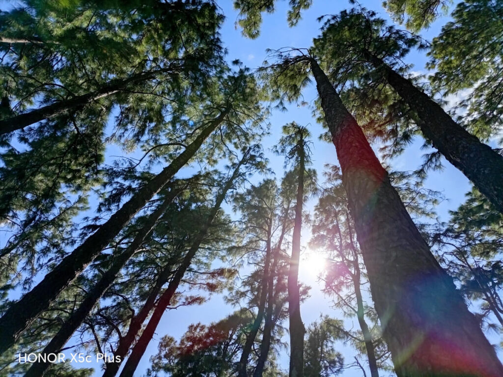 HONOR X5c Plus