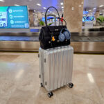 Heys Astro 3PC Set Luggage Review