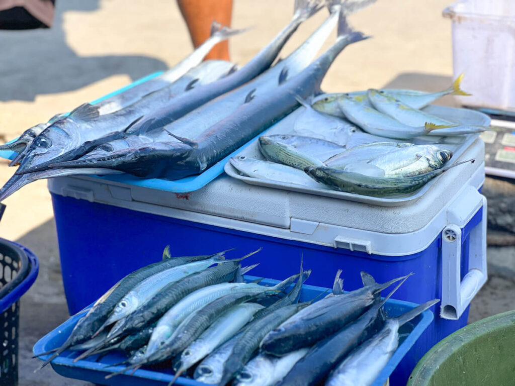 Pico de Loro Cove Lasang Lokal Proudly Pico