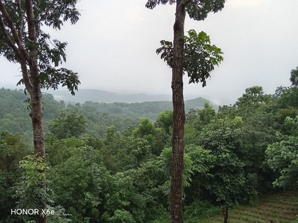 HONOR X6e - Sample Image