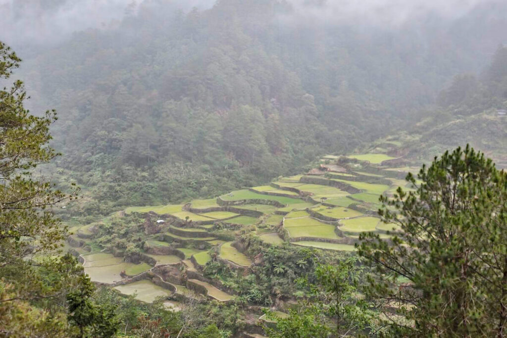 Sagada Cellar Door Brings the Warmth of the Cordilleras