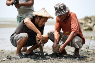 Aboitiz Foundation and GCash Launch Five-Year Forest Restoration