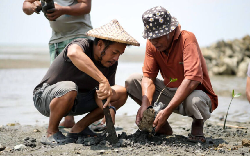 Aboitiz Foundation and GCash Launch Five-Year Forest Restoration