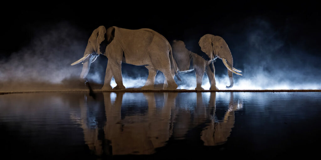 Epson International Pano Awards 2026