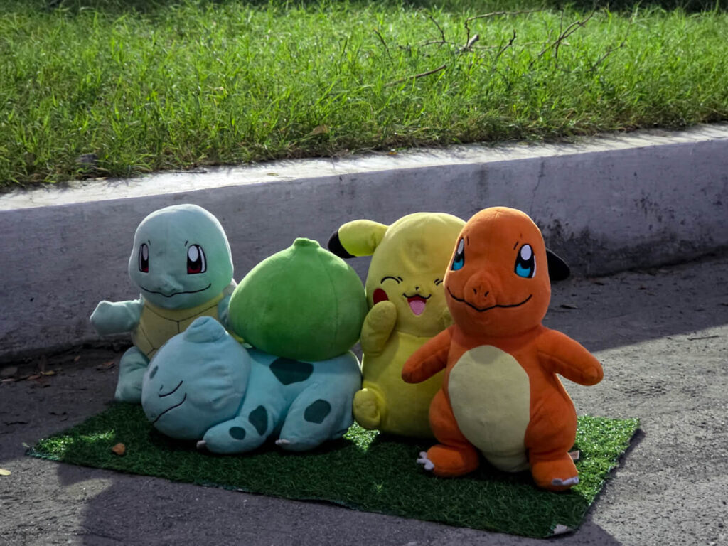 Pokemon RUN 30 - Pokemon plushie